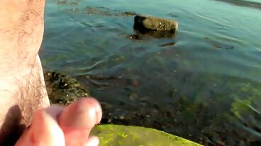 ব্যাংব্রোস: ফ্রে ফনের বাংলা চোদা চুদি বিডিও সাথে পর্নএইচডি-তে একটি ডিকের উপর এলফ