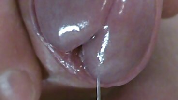 মোটা ল্যাটিনা রোজ মনরো একটি বড় কালো মোরগ দিয়ে পায়ূ চোদা চুদি ভিডিও বাংলা চেষ্টা করে!