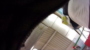 চতুর বাংলা মেয়েদের চোদাচুদি কিশোরেরা মধ্যে স্টকিংস আছে মজা একসঙ্গে সঙ্গে কঠিন মোরগ